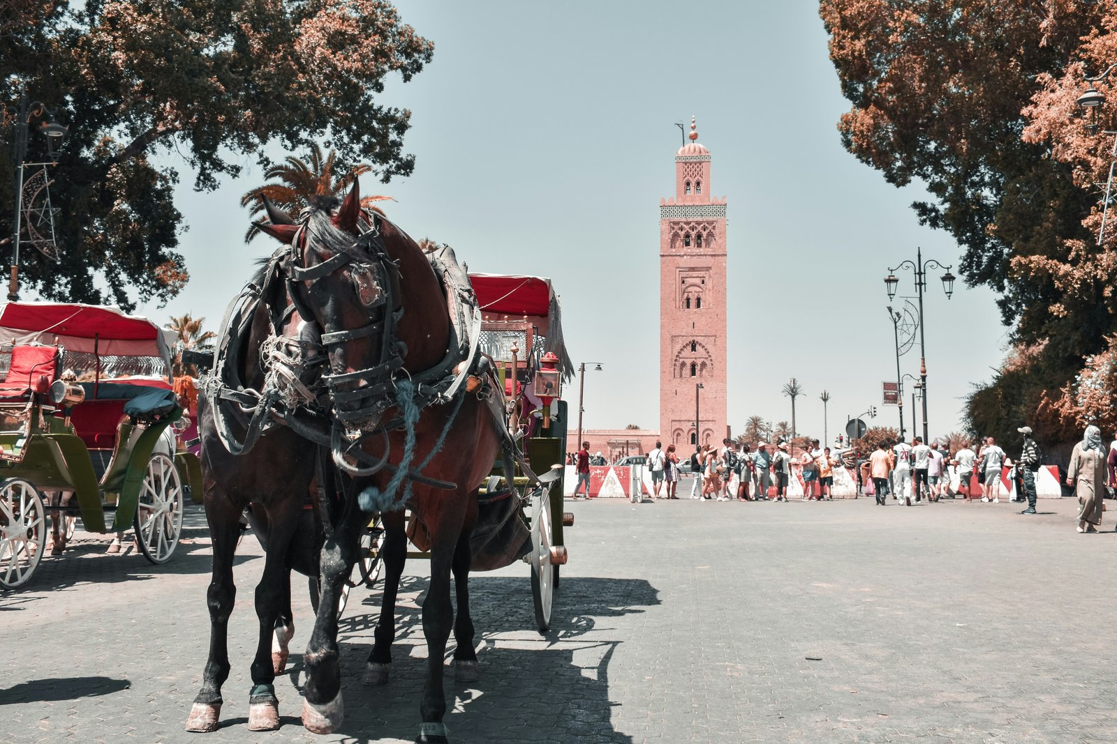 Atlas Mountains Morocco transfer