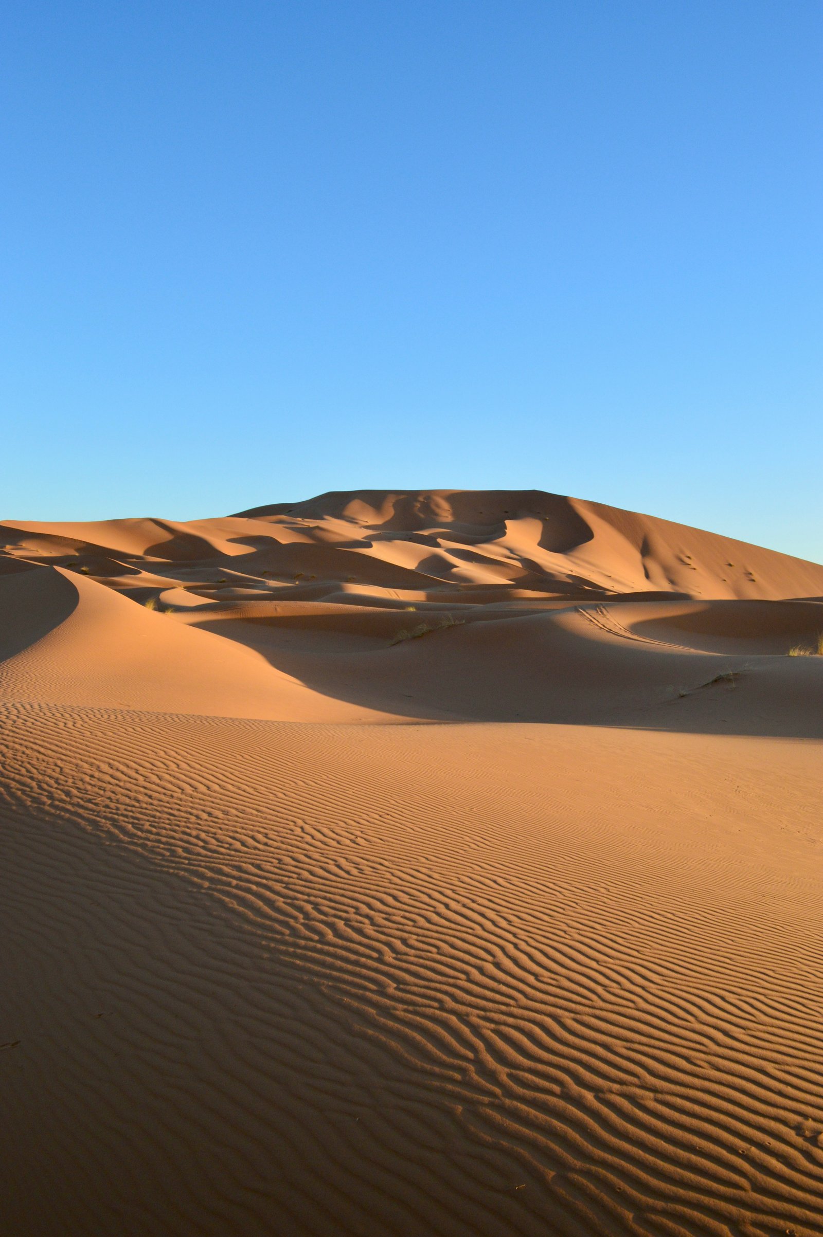 Sahara desert Morocco dunes